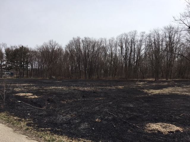 McGaw Park Entrance - prairie burn