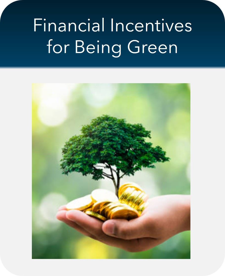 Button-Financial Incentives