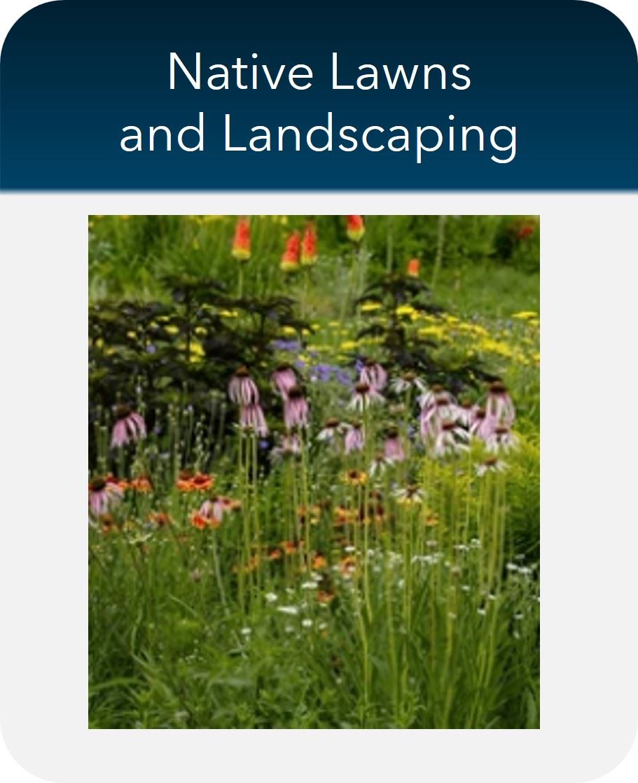 Button-Native Landscaping